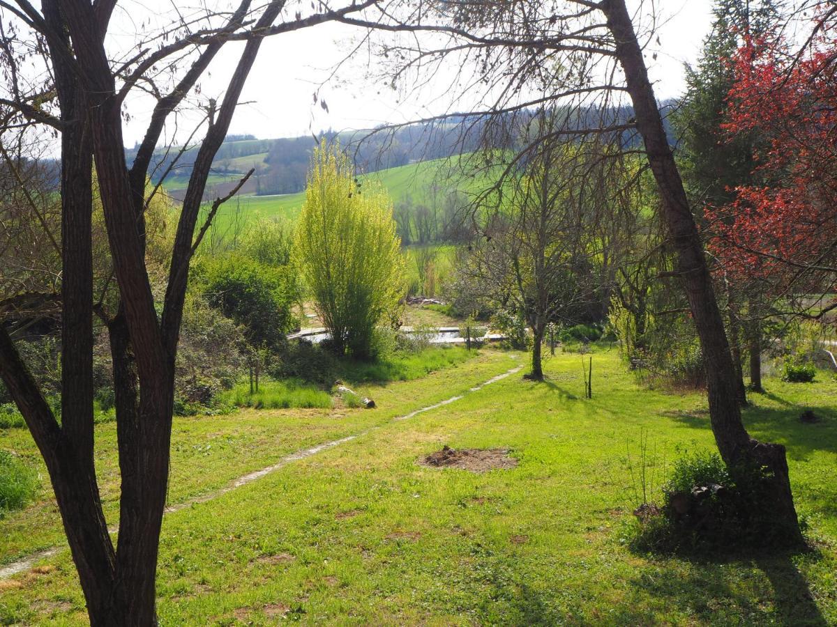 Grand Gite Les Cabanes De Fallot Pour 19 Personnes - Piscine Naturelle L'isle-Bouzon Esterno foto