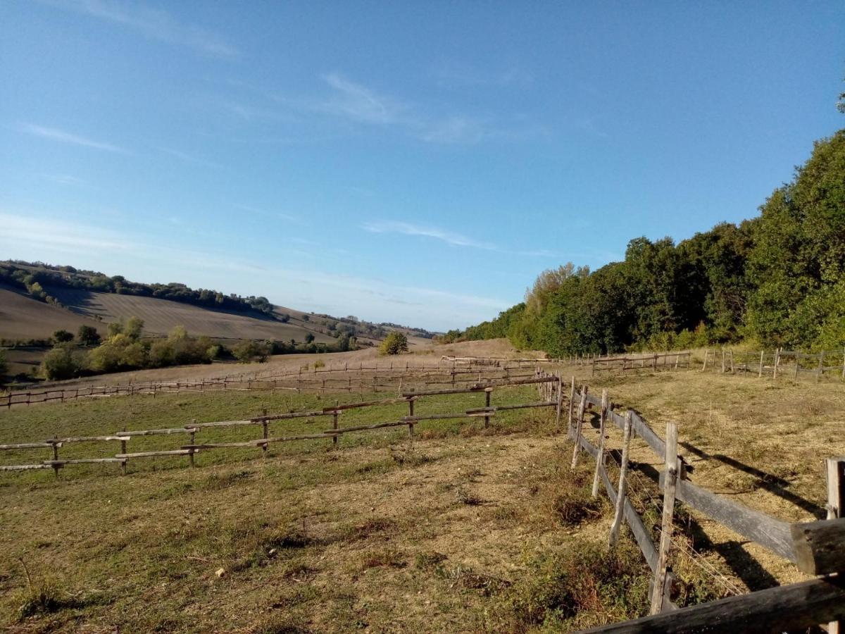 Grand Gite Les Cabanes De Fallot Pour 19 Personnes - Piscine Naturelle L'isle-Bouzon Esterno foto