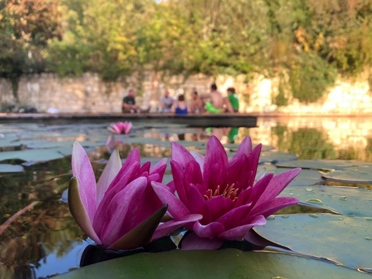 Grand Gite Les Cabanes De Fallot Pour 19 Personnes - Piscine Naturelle L'isle-Bouzon Esterno foto